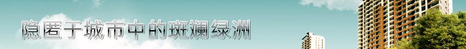 隐匿于城市中的斑斓绿洲