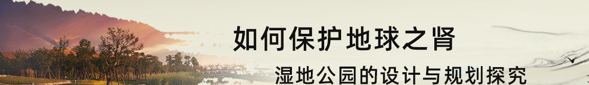 如何保护地球之肾——湿地公园的设计与规划探究
